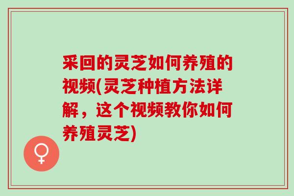 采回的灵芝如何养殖的视频(灵芝种植方法详解，这个视频教你如何养殖灵芝)