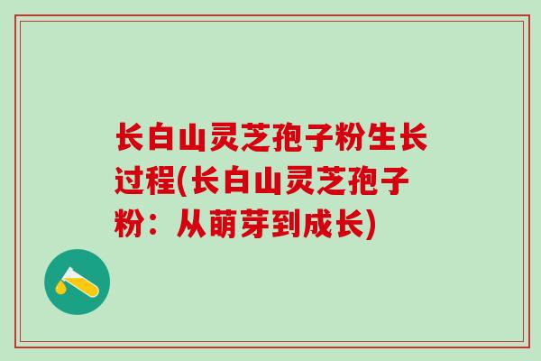 长白山灵芝孢子粉生长过程(长白山灵芝孢子粉:从萌芽到成长) 长白山灵芝孢子粉生长过程(长白山灵芝孢子粉:从萌芽到成长)