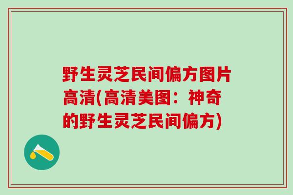 野生灵芝民间偏方图片高清(高清美图：神奇的野生灵芝民间偏方)