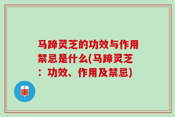 马蹄灵芝的功效与作用禁忌是什么(马蹄灵芝:功效、作用及禁忌) 马蹄灵芝的功效与作用禁忌是什么(马蹄灵芝:功效、作用及禁忌)