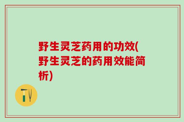 野生灵芝药用的功效(野生灵芝的药用效能简析)