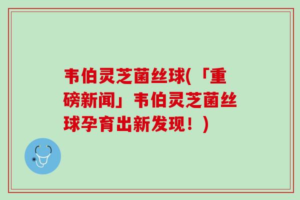 韦伯灵芝菌丝球(「重磅新闻」韦伯灵芝菌丝球孕育出新发现！)