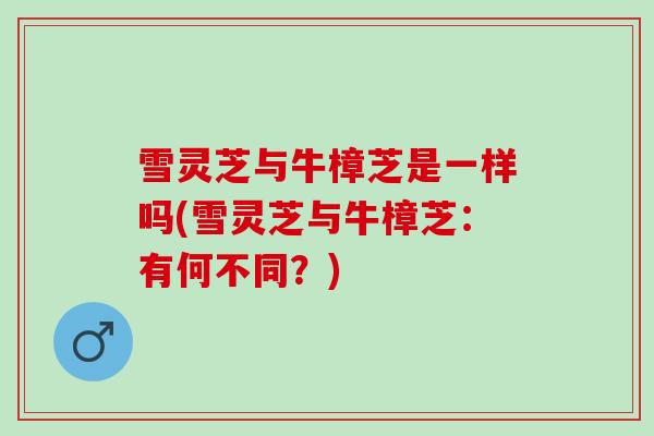 雪灵芝与牛樟芝是一样吗(雪灵芝与牛樟芝：有何不同？)
