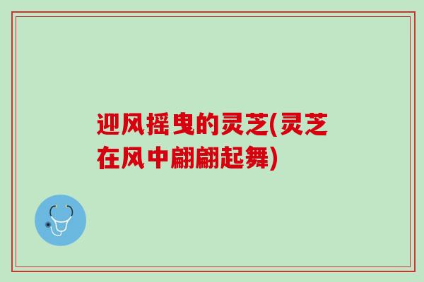 迎风摇曳的灵芝(灵芝在风中翩翩起舞)