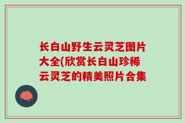 长白山野生云灵芝图片大全(欣赏长白山珍稀云灵芝的精美照片合集