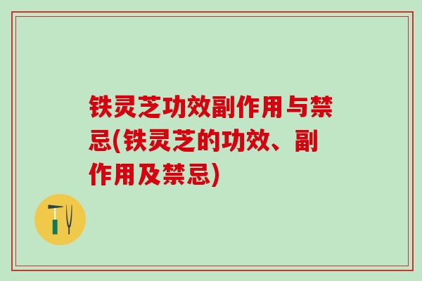 铁灵芝功效副作用与禁忌(铁灵芝的功效、副作用及禁忌)