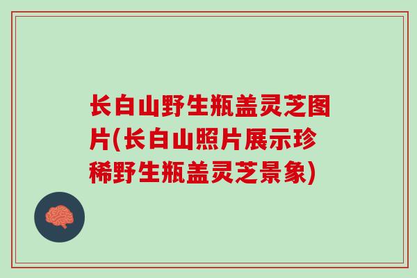 长白山野生瓶盖灵芝图片(长白山照片展示珍稀野生瓶盖灵芝景象)
