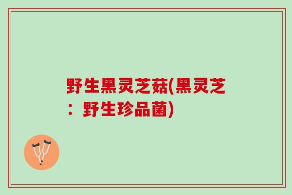 野生黑灵芝菇(黑灵芝：野生珍品菌)
