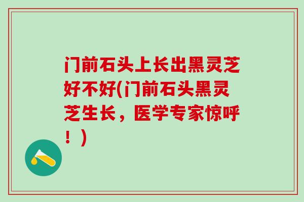 门前石头上长出黑灵芝好不好(门前石头黑灵芝生长，医学专家惊呼！)