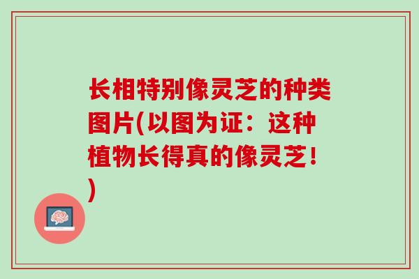 长相特别像灵芝的种类图片(以图为证：这种植物长得真的像灵芝！)