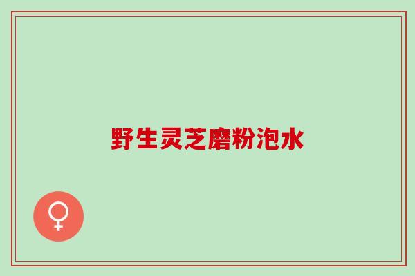 野生灵芝磨粉泡水