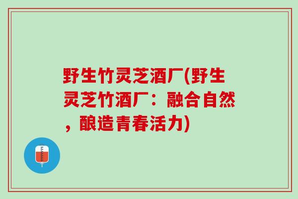 野生竹灵芝酒厂(野生灵芝竹酒厂：融合自然，酿造青春活力)