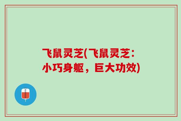 飞鼠灵芝(飞鼠灵芝：小巧身躯，巨大功效)