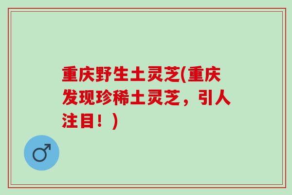 重庆野生土灵芝(重庆发现珍稀土灵芝，引人注目！)