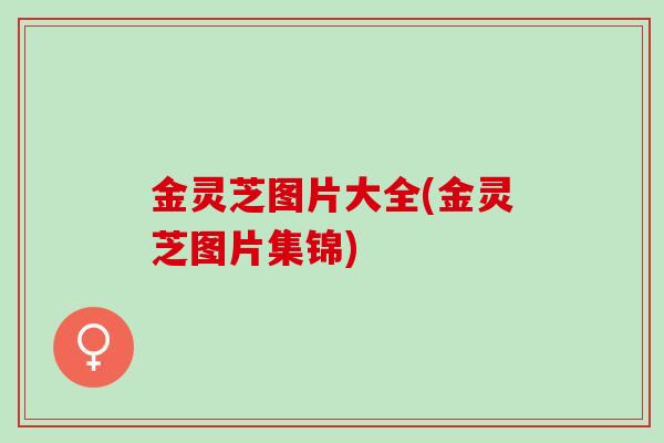 金灵芝图片大全(金灵芝图片集锦)