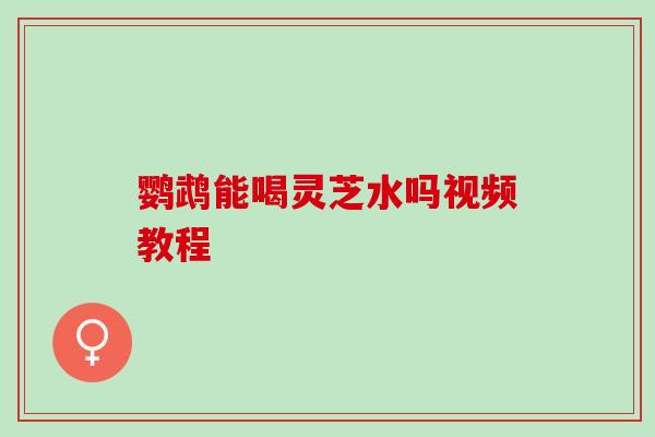鹦鹉能喝灵芝水吗视频教程