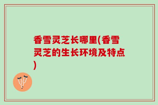 香雪灵芝长哪里(香雪灵芝的生长环境及特点)