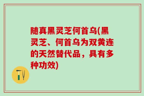 随真黑灵芝何首乌(黑灵芝、何首乌为双黄连的天然替代品，具有多种功效)