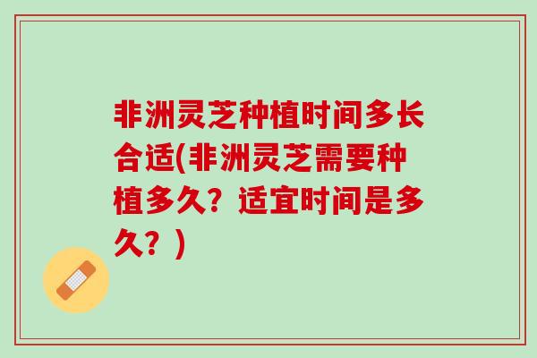 非洲灵芝种植时间多长合适(非洲灵芝需要种植多久？适宜时间是多久？)