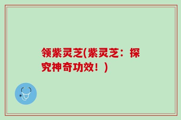 领紫灵芝(紫灵芝：探究神奇功效！)