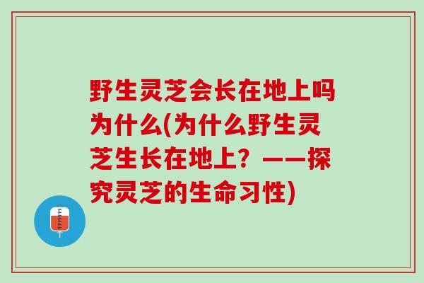 野生灵芝会长在地上吗为什么(为什么野生灵芝生长在地上？——探究灵芝的生命习性)