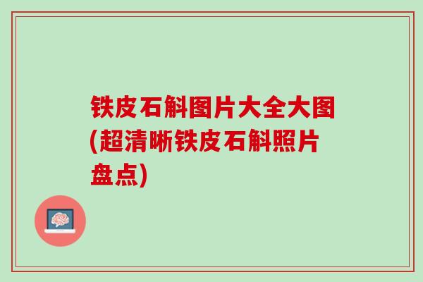 铁皮石斛图片大全大图(超清晰铁皮石斛照片盘点)