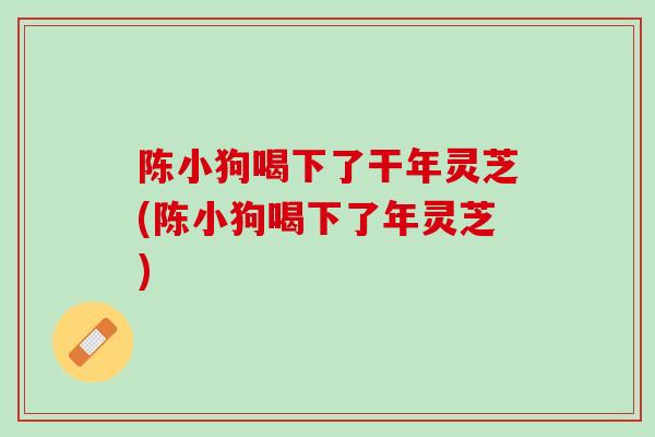 陈小狗喝下了干年灵芝(陈小狗喝下了年灵芝)