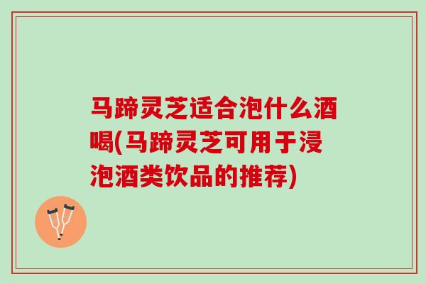 马蹄灵芝适合泡什么酒喝(马蹄灵芝可用于浸泡酒类饮品的推荐)