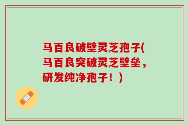 马百良破壁灵芝孢子(马百良突破灵芝壁垒，研发纯净孢子！)