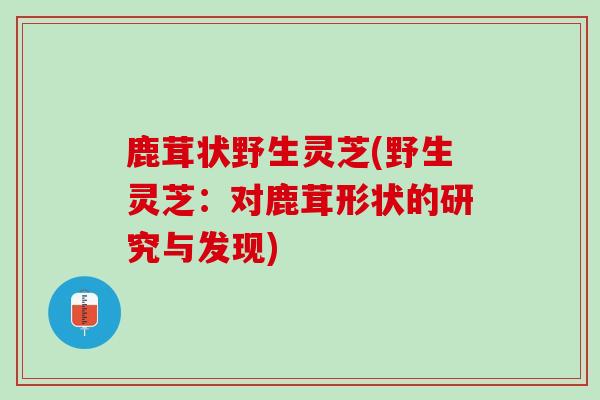 鹿茸状野生灵芝(野生灵芝:对鹿茸形状的研究与发现) 鹿茸状野生灵芝(野生灵芝:对鹿茸形状的研究与发现)