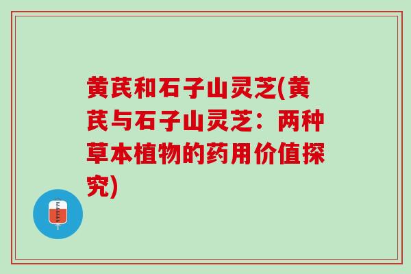 黄芪和石子山灵芝(黄芪与石子山灵芝：两种草本植物的药用价值探究)