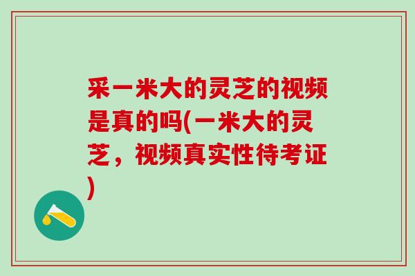 采一米大的灵芝的视频是真的吗(一米大的灵芝，视频真实性待考证)
