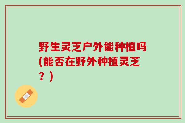 野生灵芝户外能种植吗(能否在野外种植灵芝？)