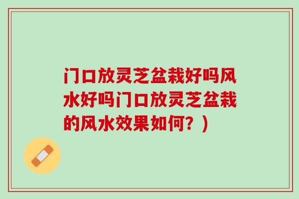 门口放灵芝盆栽好吗风水好吗门口放灵芝盆栽的风水效果如何？)