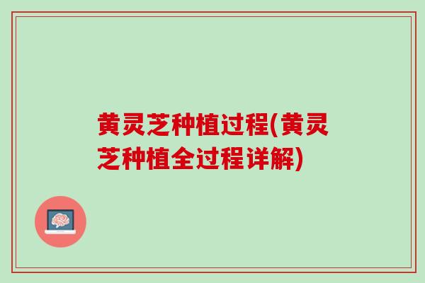 黄灵芝种植过程(黄灵芝种植全过程详解) 黄灵芝种植过程(黄灵芝种植全过程详解)