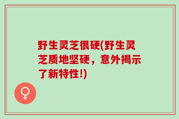 野生灵芝很硬(野生灵芝质地坚硬,意外揭示了新特性!) 野生灵芝很硬(野生灵芝质地坚硬,意外揭示了新特性!)