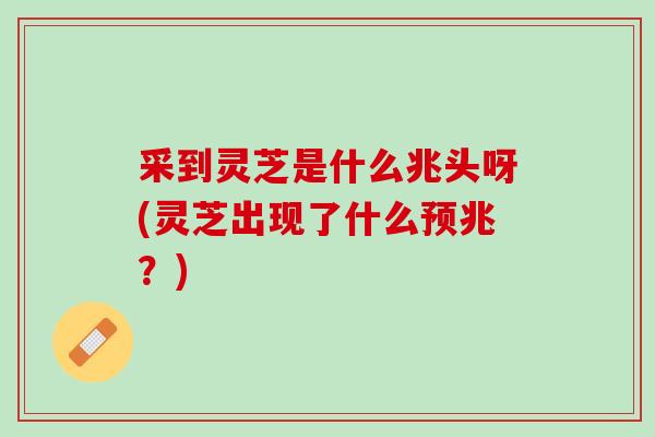 采到灵芝是什么兆头呀(灵芝出现了什么预兆？)