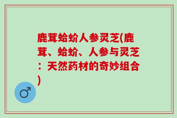 鹿茸蛤蚧人参灵芝(鹿茸、蛤蚧、人参与灵芝：天然药材的奇妙组合)