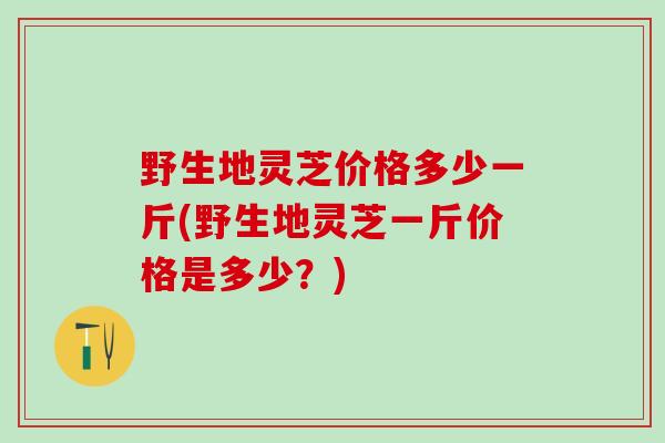 野生地灵芝价格多少一斤(野生地灵芝一斤价格是多少？)