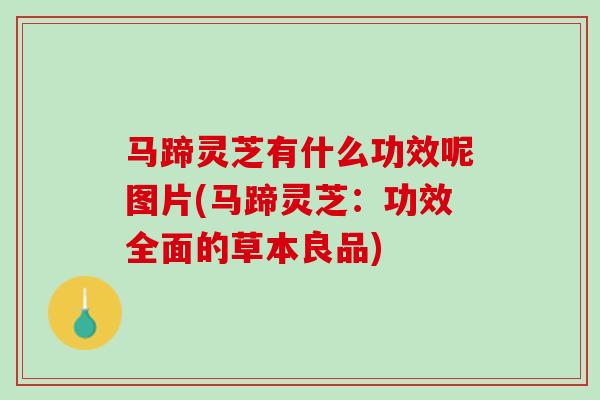 马蹄灵芝有什么功效呢图片(马蹄灵芝：功效全面的草本良品)