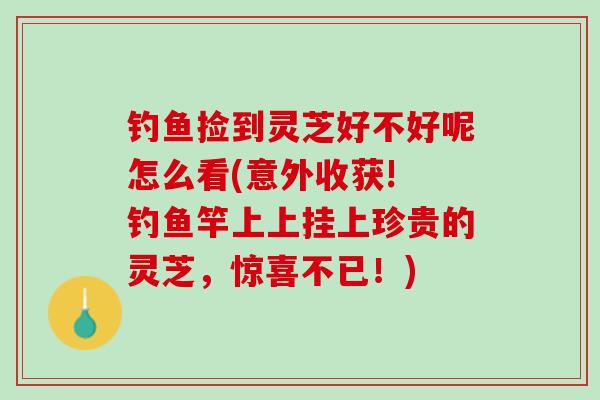 钓鱼捡到灵芝好不好呢怎么看(意外收获! 钓鱼竿上上挂上珍贵的灵芝，惊喜不已！)
