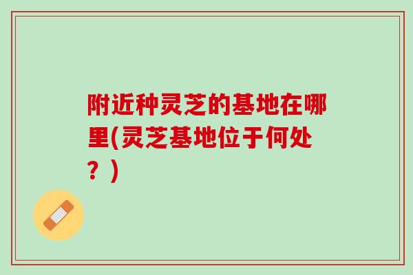 附近种灵芝的基地在哪里(灵芝基地位于何处？)