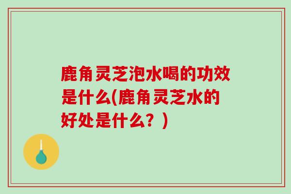 鹿角灵芝泡水喝的功效是什么(鹿角灵芝水的好处是什么？)