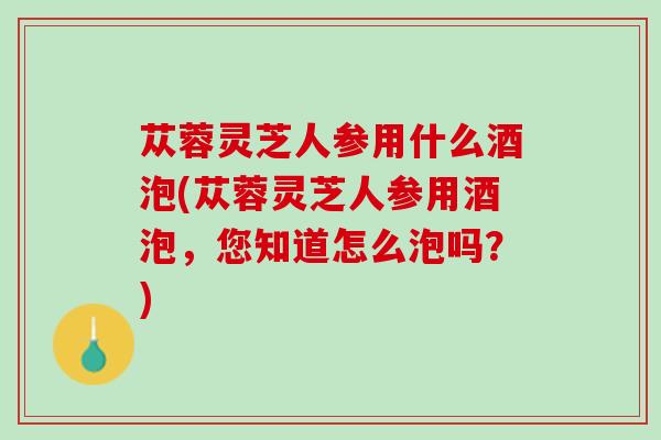 苁蓉灵芝人参用什么酒泡(苁蓉灵芝人参用酒泡,您知道怎么泡吗?) 苁蓉灵芝人参用什么酒泡(苁蓉灵芝人参用酒泡,您知道怎么泡吗?)