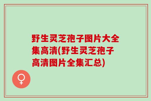野生灵芝孢子图片大全集高清(野生灵芝孢子高清图片全集汇总)