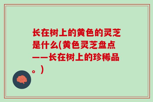 长在树上的黄色的灵芝是什么(黄色灵芝盘点——长在树上的珍稀品。)