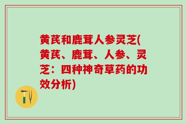 黄芪和鹿茸人参灵芝(黄芪、鹿茸、人参、灵芝：四种神奇草药的功效分析)