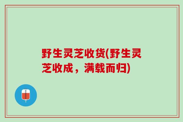 野生灵芝收货(野生灵芝收成，满载而归)