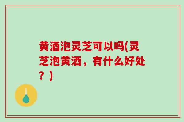 黄酒泡灵芝可以吗(灵芝泡黄酒,有什么好处?) 黄酒泡灵芝可以吗(灵芝泡黄酒,有什么好处?)