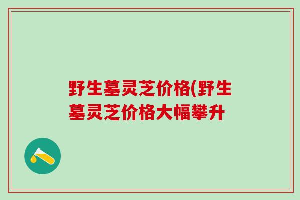 野生墓灵芝价格(野生墓灵芝价格大幅攀升